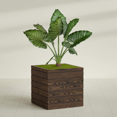 Asheville Cube planter in textured walnut, shown planted, in a sunlit interior
