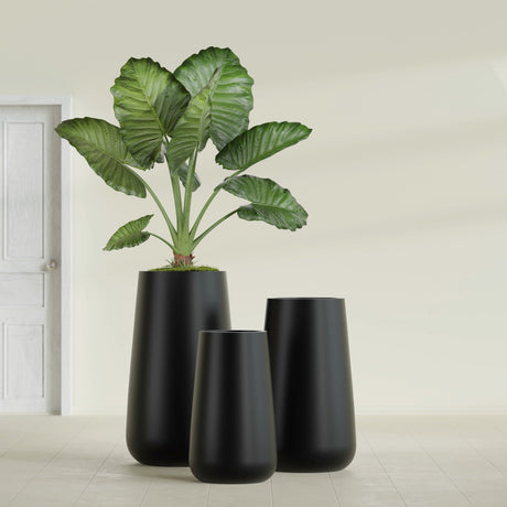 Saigon Tapered Round fiberglass planter in Matte Black, size range, in a sunlit interior