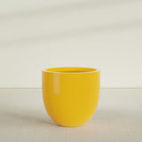 Alzira Bowl Planter in Gloss Saffron, 36"D × 34"H, shown empty