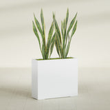Perth Corner fiberglass planter in Gloss Bright White, shown planted, in a sunlit interior