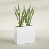 Perth Rectangular fiberglass planter in Gloss Bright White, shown planted, in a sunlit interior