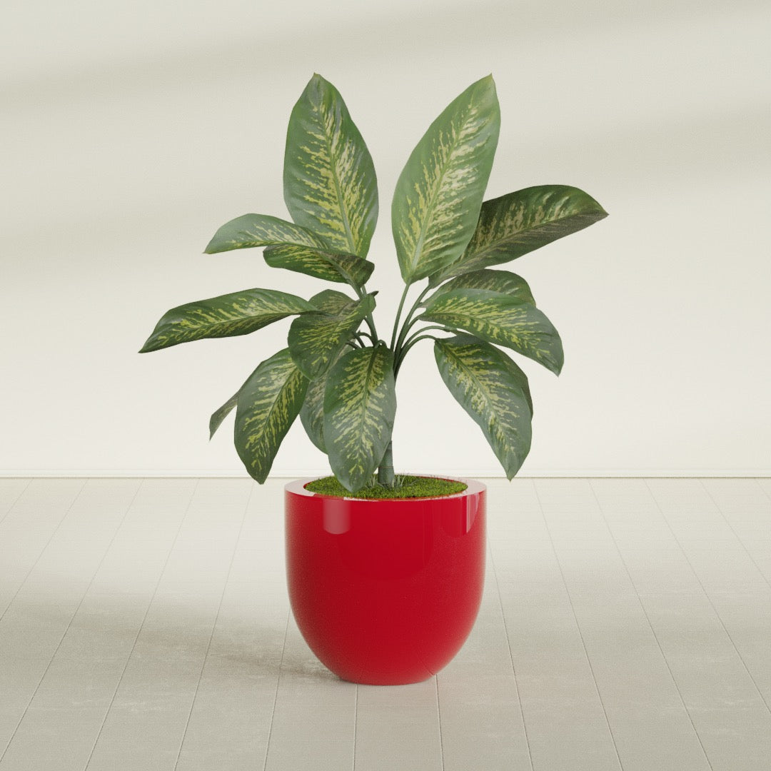 Alzira Bowl fiberglass planter in Gloss Red, shown planted, in a sunlit interior