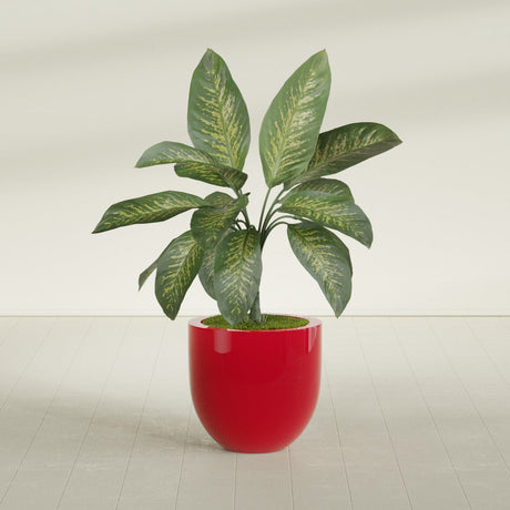 Alzira Bowl fiberglass planter in Gloss Red, shown planted, in a sunlit interior