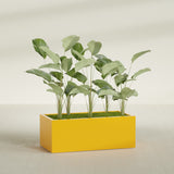 Torino Wide Rectangular fiberglass planter in Gloss Saffron, shown planted, in a sunlit interior