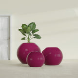 Globe fiberglass planter in Gloss Eggplant, size range, in a sunlit interior