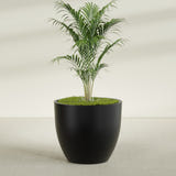 Wannsee Round fiberglass planter in Matte Black, shown planted, in a sunlit interior