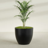Wannsee Round fiberglass planter in Matte Black, shown planted, in a sunlit interior