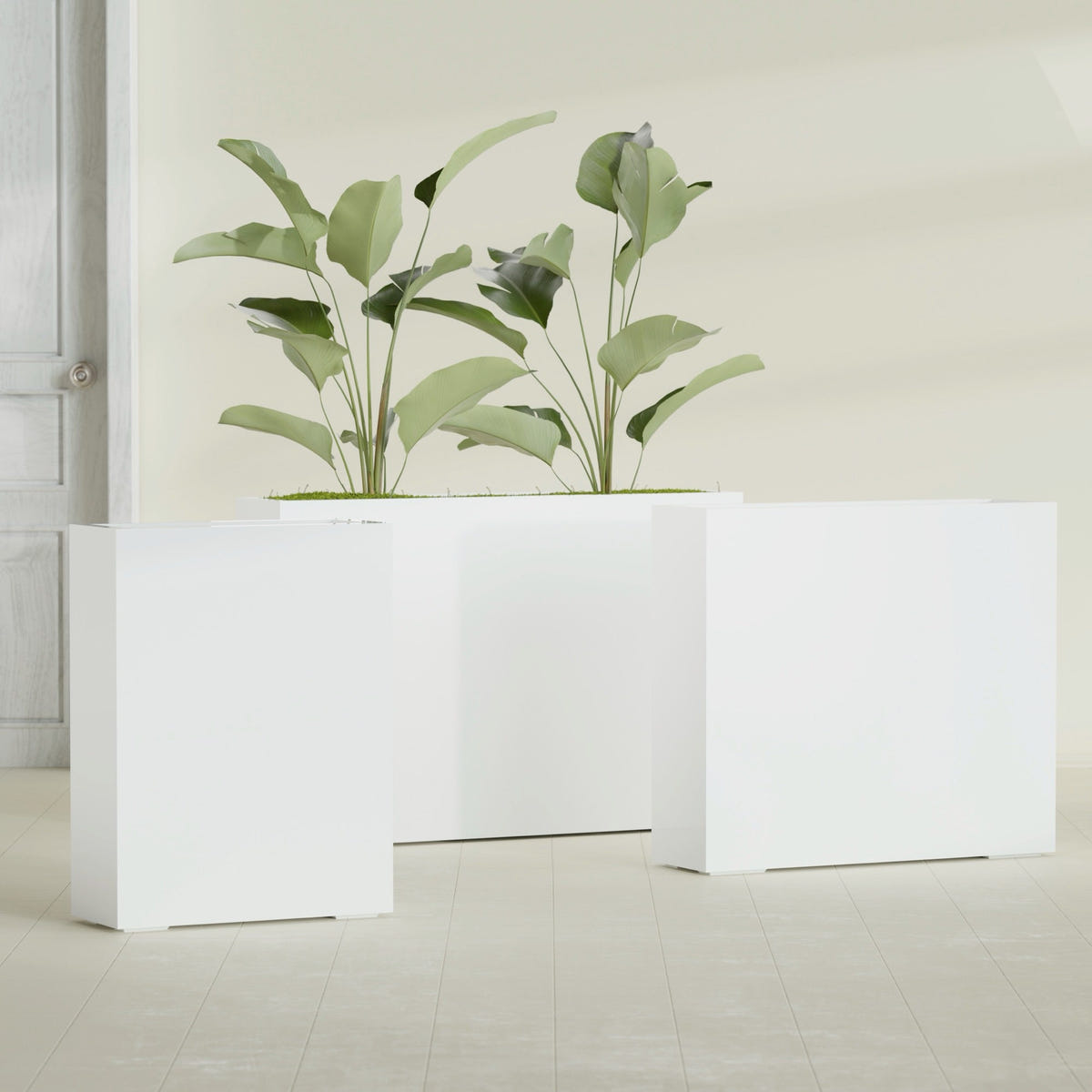 Amesbury Narrow Rectangular fiberglass planter in Gloss Bright White, size range, in a sunlit interior