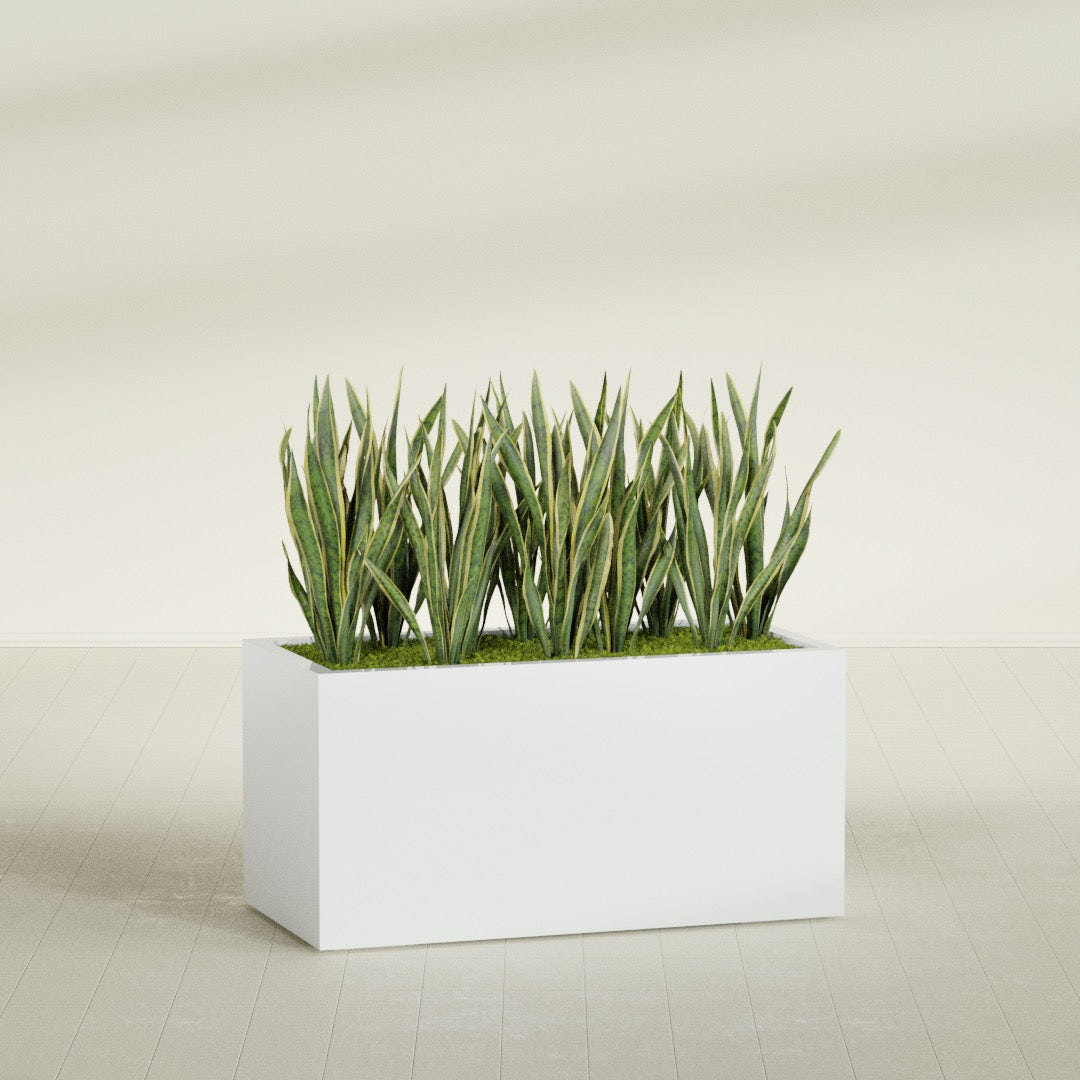Granada fiberglass planter in Matte Bright White, shown planted, in a sunlit interior