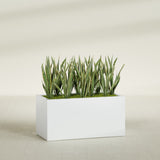 Granada fiberglass planter in Matte Bright White, shown planted, in a sunlit interior