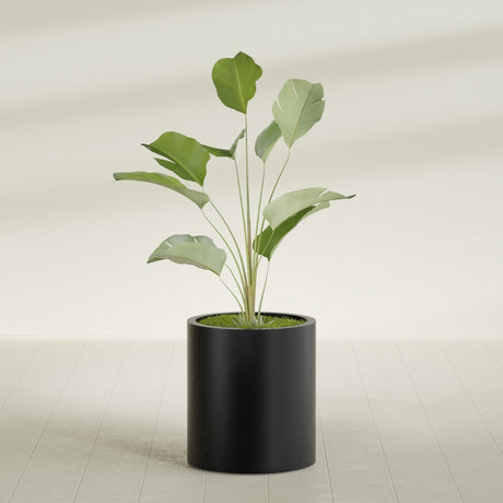 Rio Grande Cylinder fiberglass planter in Matte Black, shown planted, in a sunlit interior