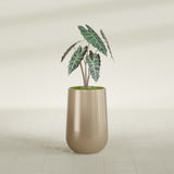 Hayden Urn fiberglass planter in Gloss Metallic Gold, shown planted, in a sunlit interior