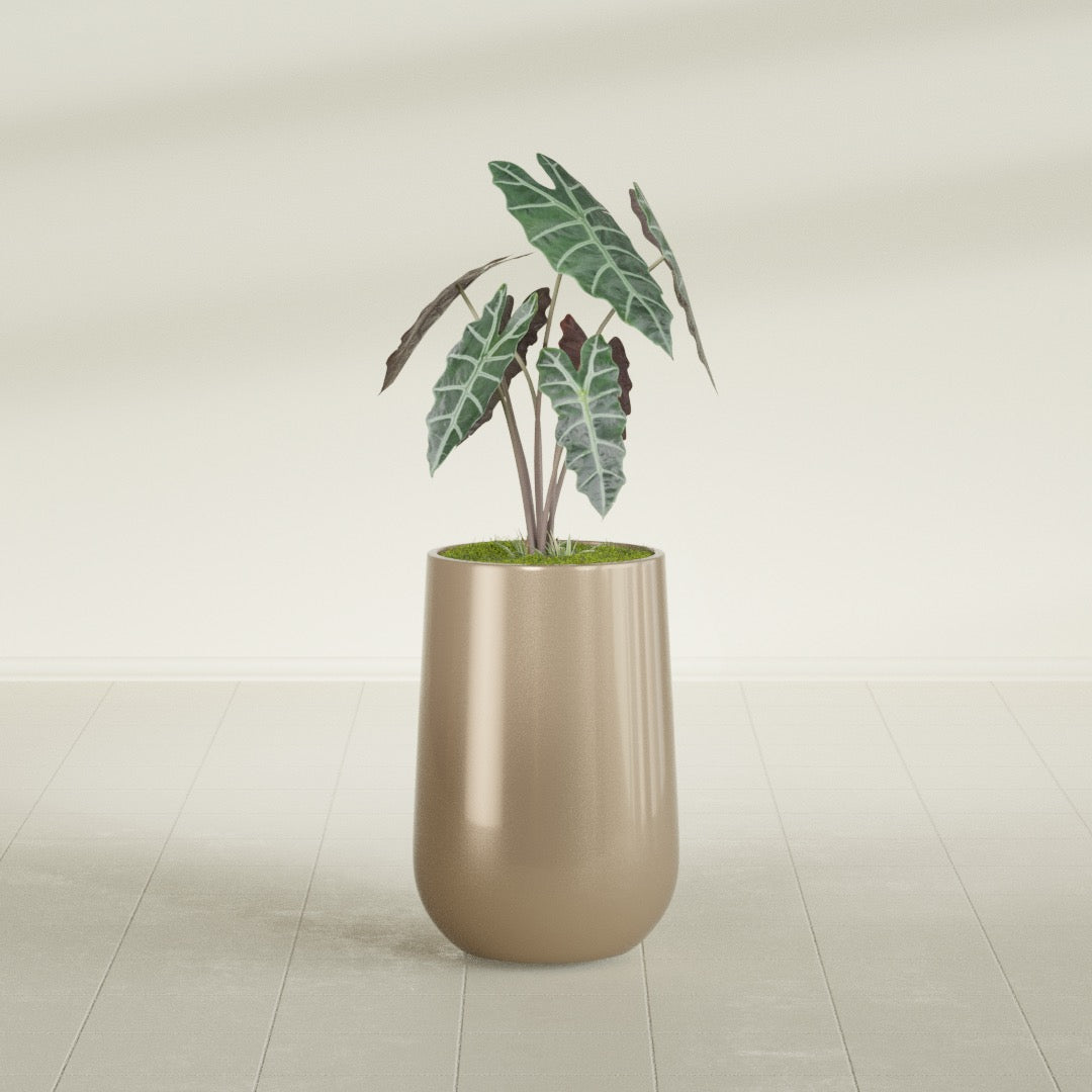 Hayden Urn fiberglass planter in Gloss Metallic Gold, shown planted, in a sunlit interior