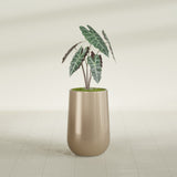 Hayden Urn fiberglass planter in Gloss Metallic Gold, shown planted, in a sunlit interior