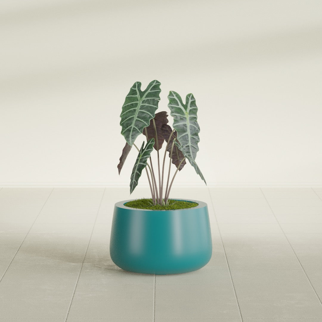 Short Hayden Bowl fiberglass planter in Satin Seafoam Green, shown planted, in a sunlit interior