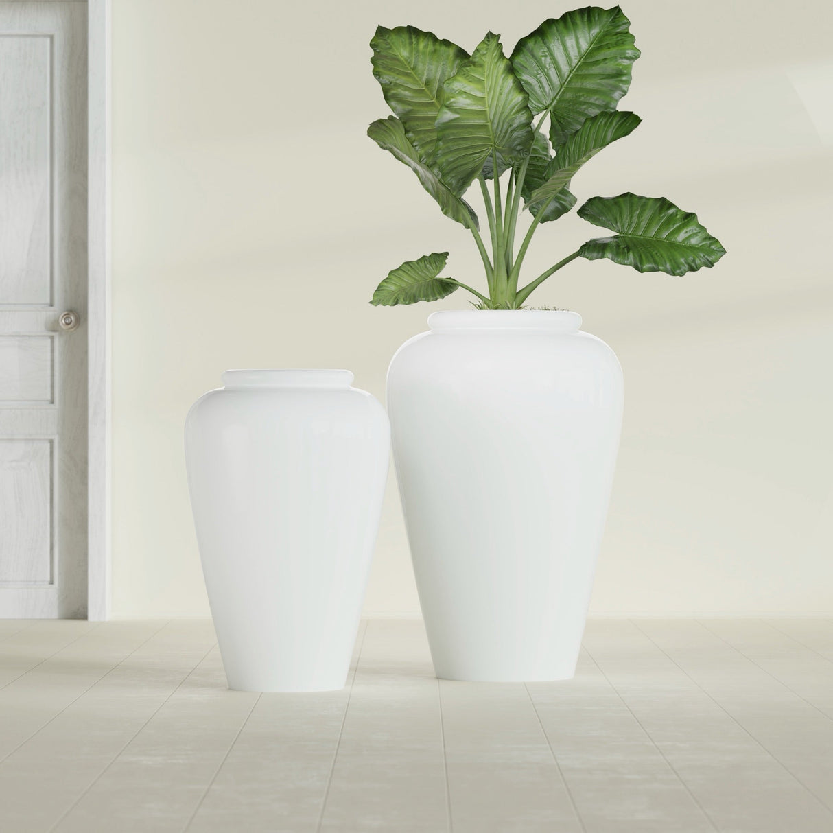 Barà Jar fiberglass planter in Gloss Bright White, size range, in a sunlit interior