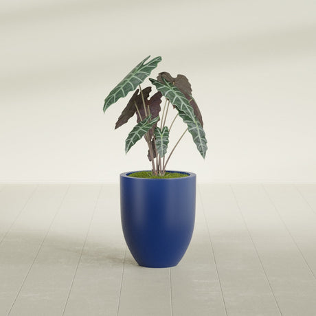 Valencia Tapered Round fiberglass planter in Matte Cobalt Blue, shown planted, in a sunlit interior