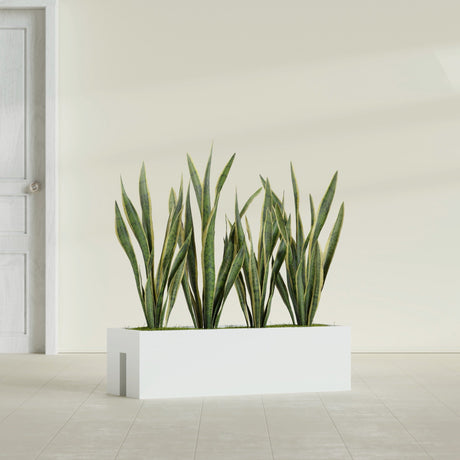 Tiergarden Railing fiberglass planter in Gloss Bright White, shown planted, in a sunlit interior