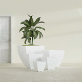 Lima Tapered Square fiberglass planter in Matte Bright White, size range, in a sunlit interior