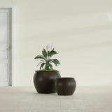 Shanghai Fishbowl fiberglass planter in Matte Dark Brown, size range, in a sunlit interior