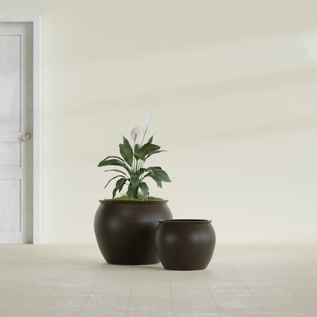 Shanghai Fishbowl fiberglass planter in Matte Dark Brown, size range, in a sunlit interior