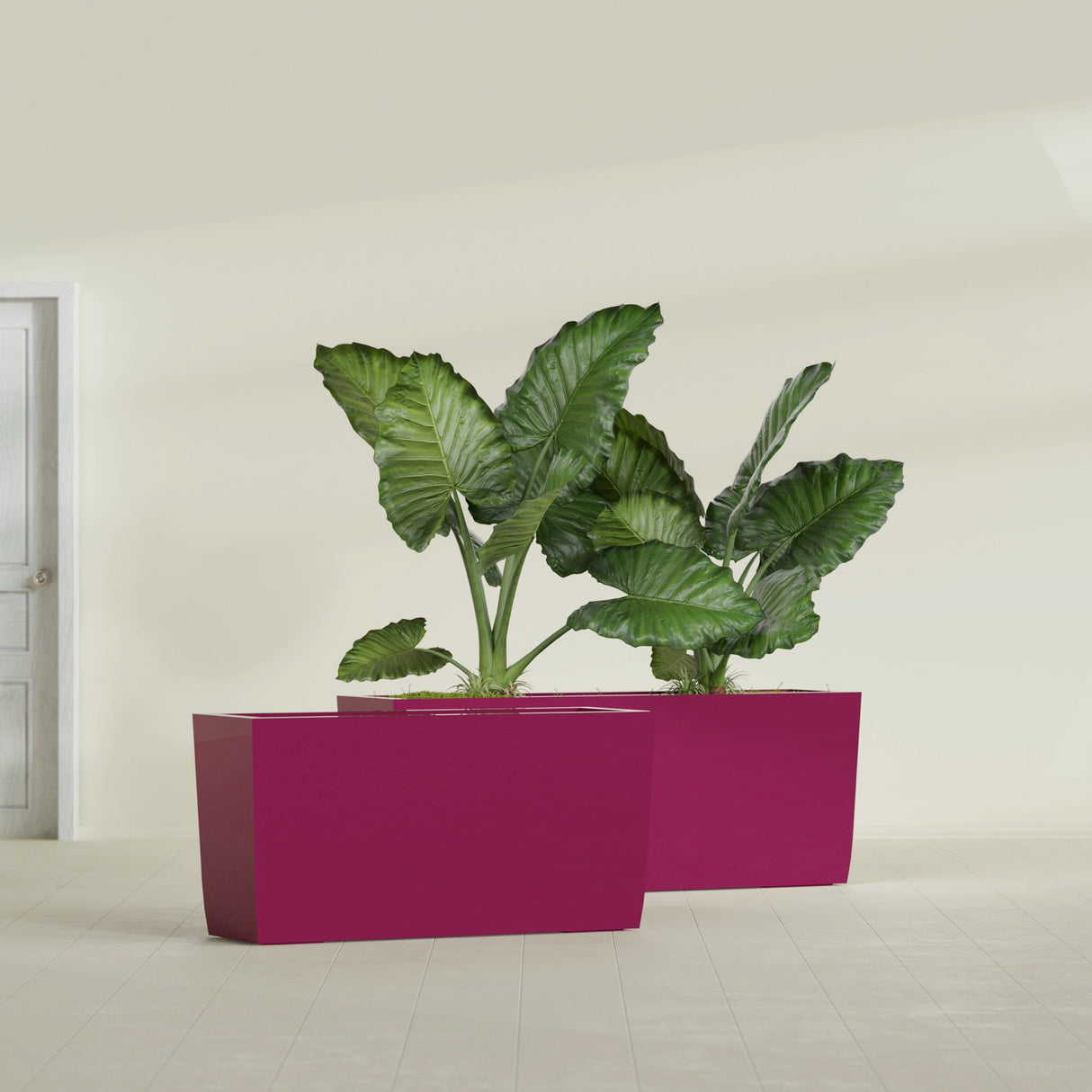 Panama Tapered Rectangular fiberglass planter in Gloss Eggplant, shown planted, in a sunlit interior