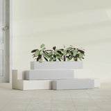 Salon Box fiberglass planter in Metallic Silver, size range, in a sunlit interior