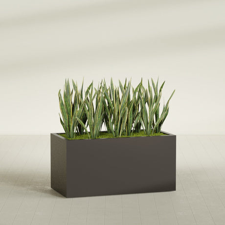 Granada fiberglass planter in Matte Dark Brown, shown planted, in a sunlit interior