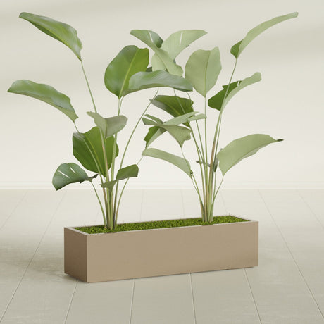 Cuba Corner fiberglass planter in Gloss Metallic Gold, shown planted, in a sunlit interior
