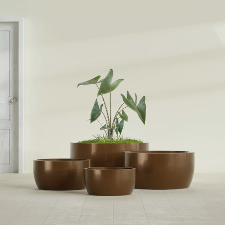 Casablanca Bowl fiberglass planter in Metallic Bronze, size range, in a sunlit interior