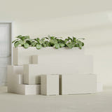 Miami Narrow Rectangular fiberglass planter in Satin Beige, size range, in a sunlit interior