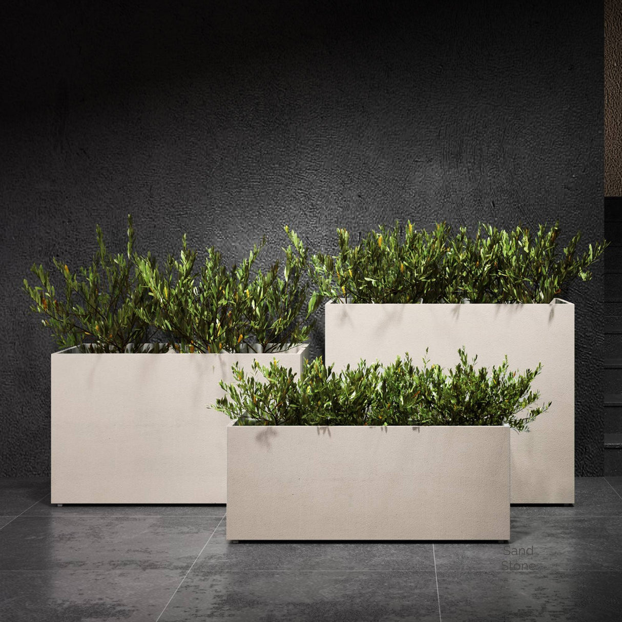 Semplito rectangular Cosapots fiberglass planters in Sand Stone, shown in a group of three with clipped shrubs.