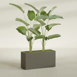 Tolga Rectangular fiberglass planter in Matte Bronze, shown planted, in a sunlit interior
