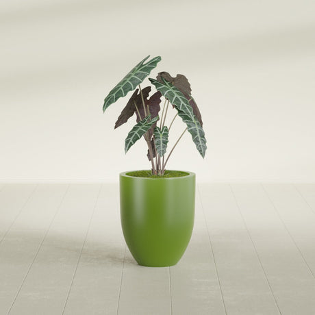 Valencia Tapered Round fiberglass planter in Satin Green, shown planted, in a sunlit interior