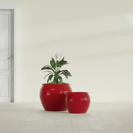 Shanghai Fishbowl fiberglass planter in Gloss Red, size range, in a sunlit interior