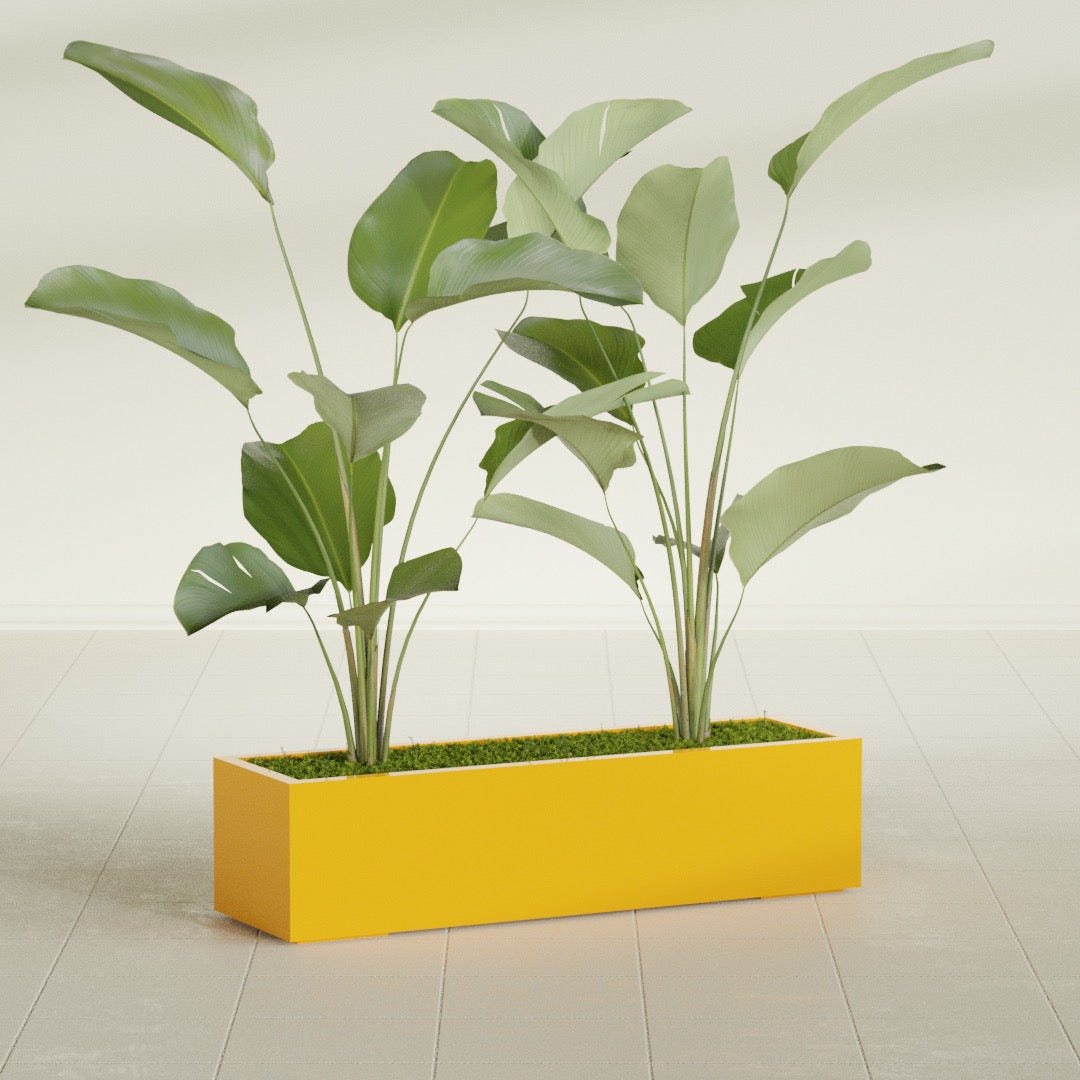 Cuba Low Rectangular fiberglass planter in Gloss Saffron, shown planted, in a sunlit interior