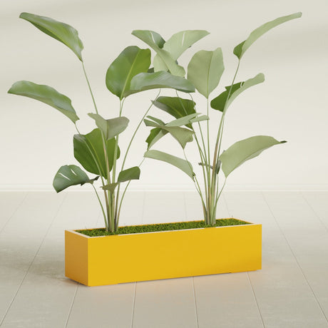 Cuba Low Rectangular fiberglass planter in Gloss Saffron, shown planted, in a sunlit interior