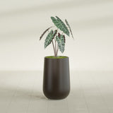 Hayden Urn fiberglass planter in Matte Dark Brown, shown planted, in a sunlit interior