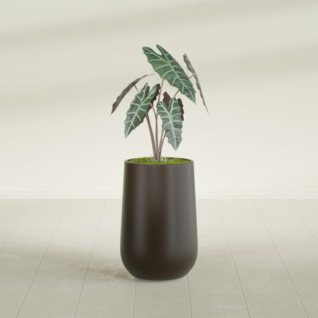Hayden Urn fiberglass planter in Matte Dark Brown, shown planted, in a sunlit interior
