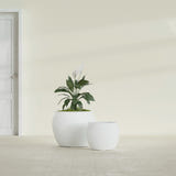 Shanghai Fishbowl fiberglass planter in Matte Bright White, size range, in a sunlit interior