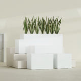 Granada fiberglass planter in Gloss Bright White, size range, in a sunlit interior