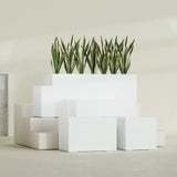 Granada fiberglass planter in Gloss Bright White, size range, in a sunlit interior