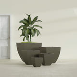 Lima Tapered Square fiberglass planter in Matte Bronze, size range, in a sunlit interior