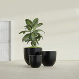 Alzira Bowl fiberglass planter in Matte Black, size range, in a sunlit interior