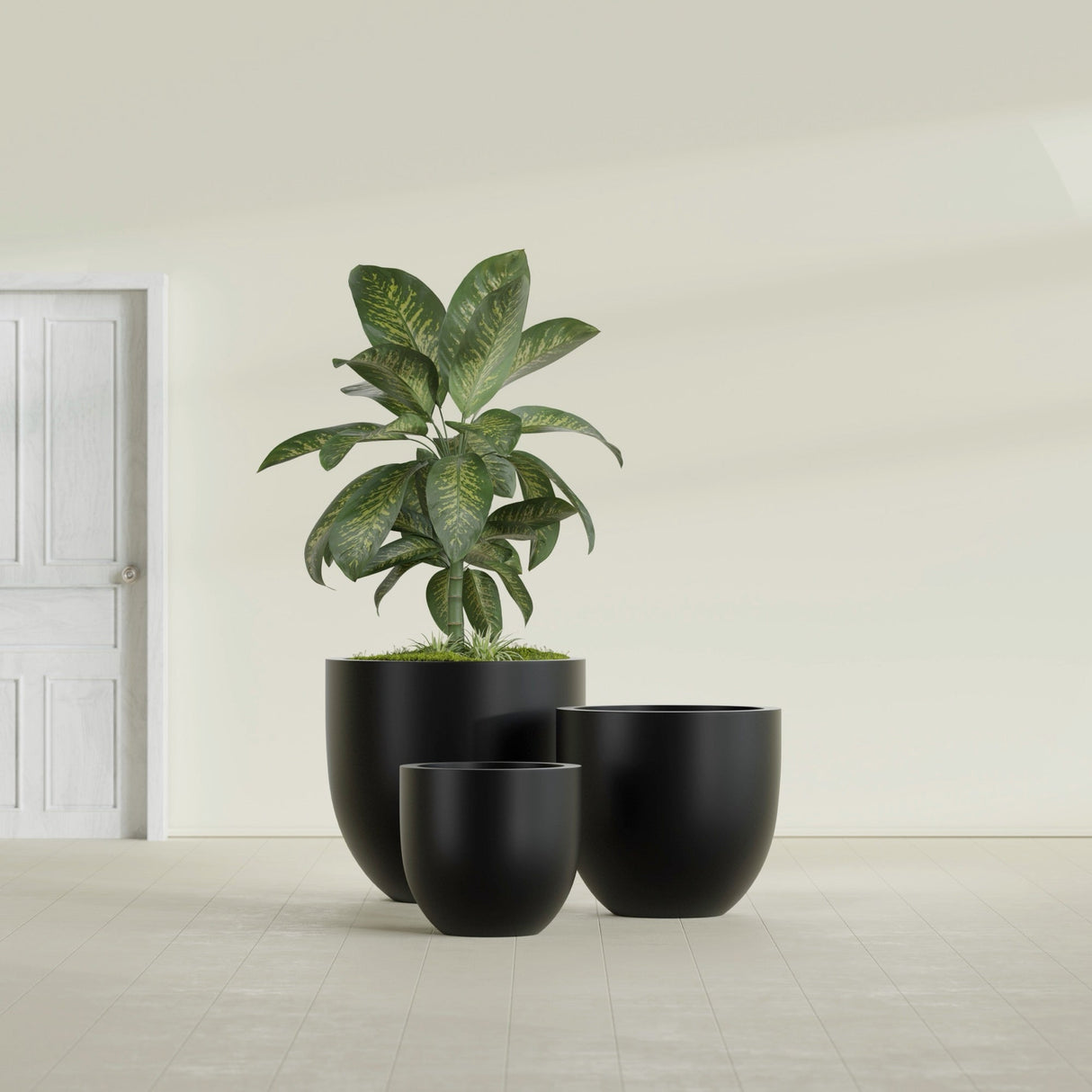 Alzira Bowl fiberglass planter in Matte Black, size range, in a sunlit interior
