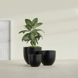 Alzira Bowl fiberglass planter in Matte Black, size range, in a sunlit interior