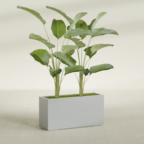 Tolga Corner fiberglass planter in Metallic Silver, shown planted, in a sunlit interior