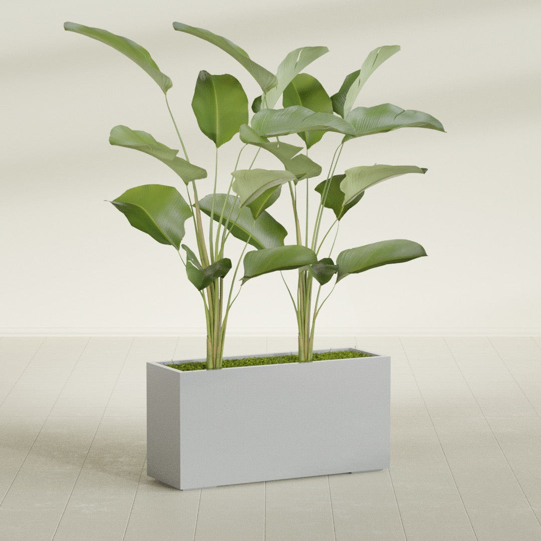 Tolga Rectangular fiberglass planter in Metallic Silver, shown planted, in a sunlit interior