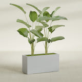 Tolga Rectangular fiberglass planter in Metallic Silver, shown planted, in a sunlit interior