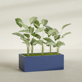Torino Wide Rectangular fiberglass planter in Matte Cobalt Blue, shown planted, in a sunlit interior